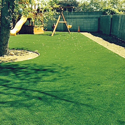 Turf Grass Poway, California Landscaping Business, Small Backyard Ideas