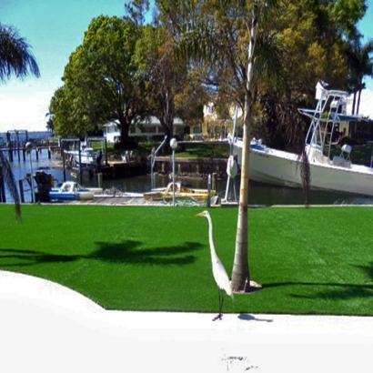 Turf Grass West Rancho Dominguez, California Landscape Design, Backyard Ideas