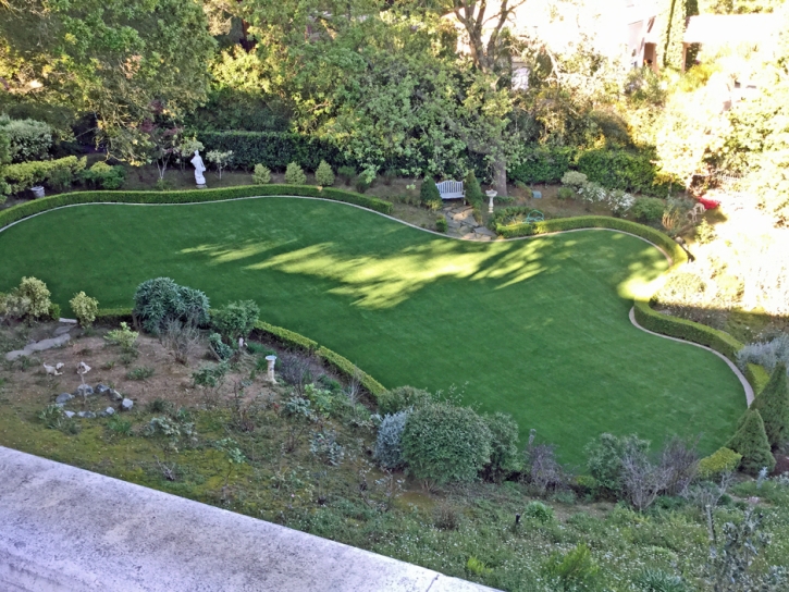 Artificial Grass Carpet Belvedere, California Dog Parks, Backyard Landscaping