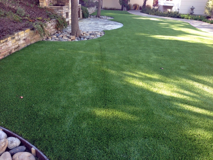Artificial Grass Carpet Claremont, California Roof Top, Small Backyard Ideas