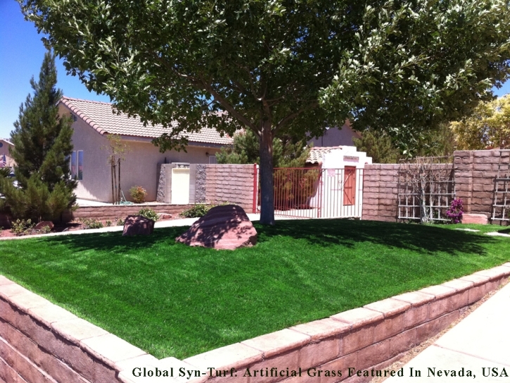 Artificial Grass Carpet East Rancho Dominguez, California Lawn And Landscape, Small Front Yard Landscaping