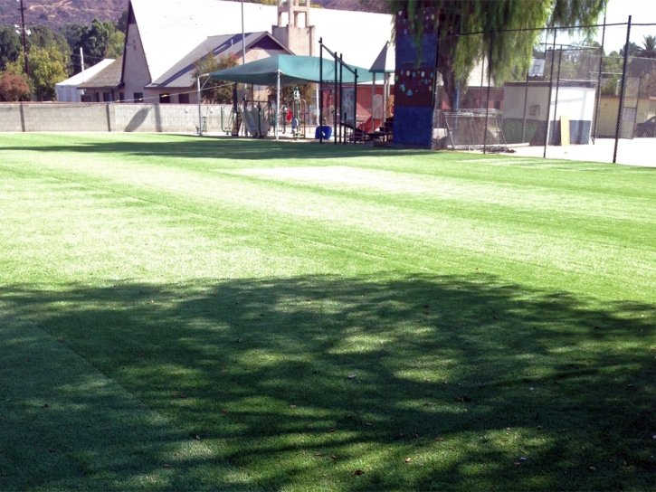 Artificial Grass Carpet Norco, California Rooftop, Parks