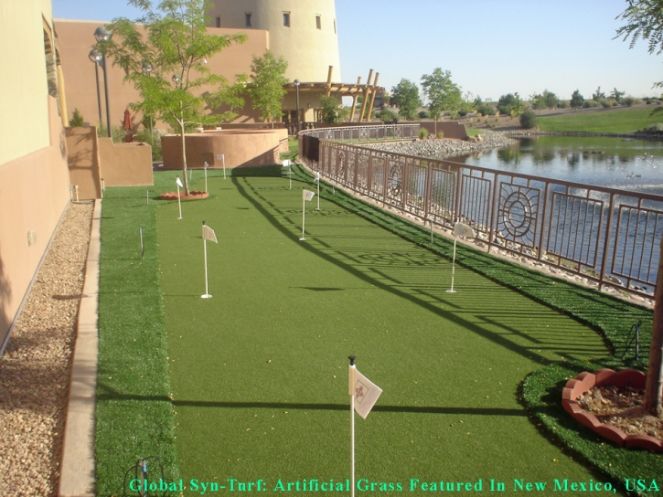 Artificial Grass Carpet Rossmoor, California Landscaping, Backyard Designs