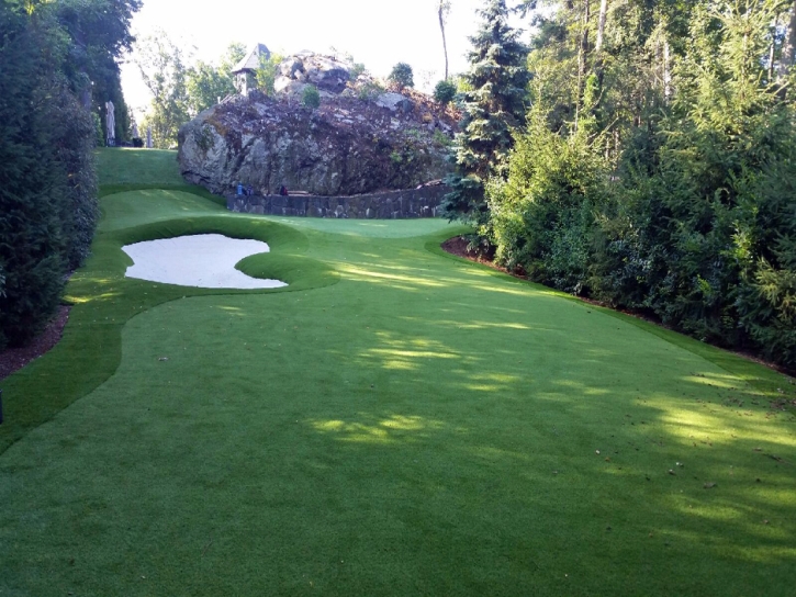 Artificial Grass Carpet Sierra Madre, California Putting Green Carpet, Commercial Landscape