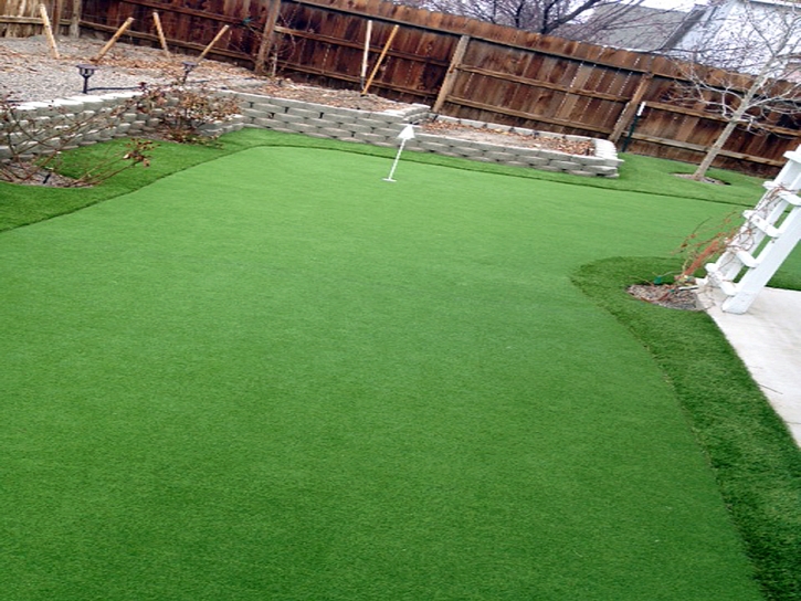 Artificial Grass Carpet Torrance, California Diy Putting Green, Backyard Ideas