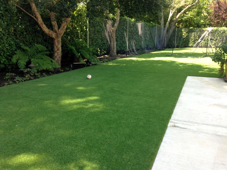 Artificial Grass Carpet Universal City, California Roof Top