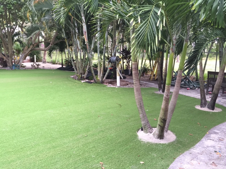 Artificial Grass Carpet West Puente Valley, California City Landscape, Commercial Landscape