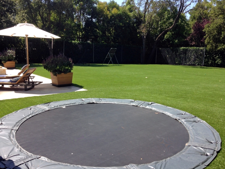 Artificial Grass Carpet Woodland Hills, California Rooftop, Backyard Landscaping