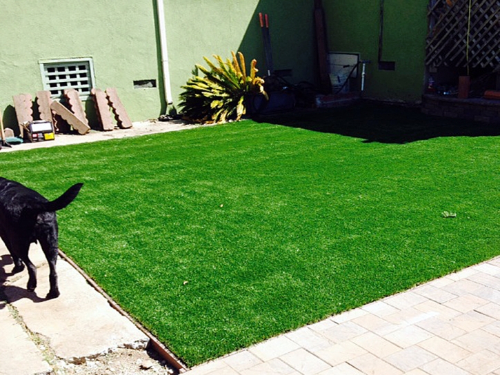 Artificial Grass Installation Cypress, California Landscape Design, Dogs Park