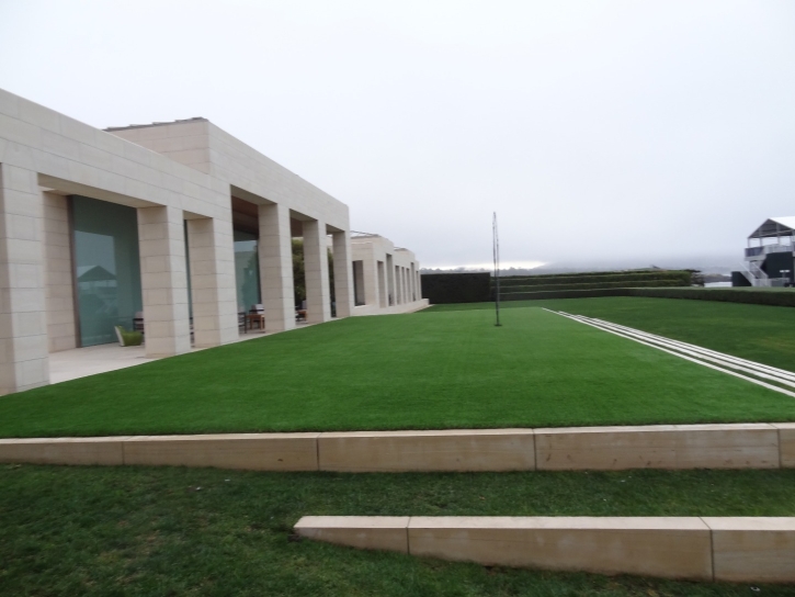 Artificial Grass La Palma, California Design Ideas, Commercial Landscape