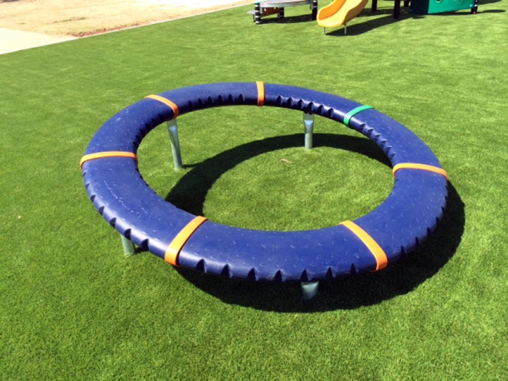 Artificial Grass Santa Monica, California Indoor Playground, Recreational Areas
