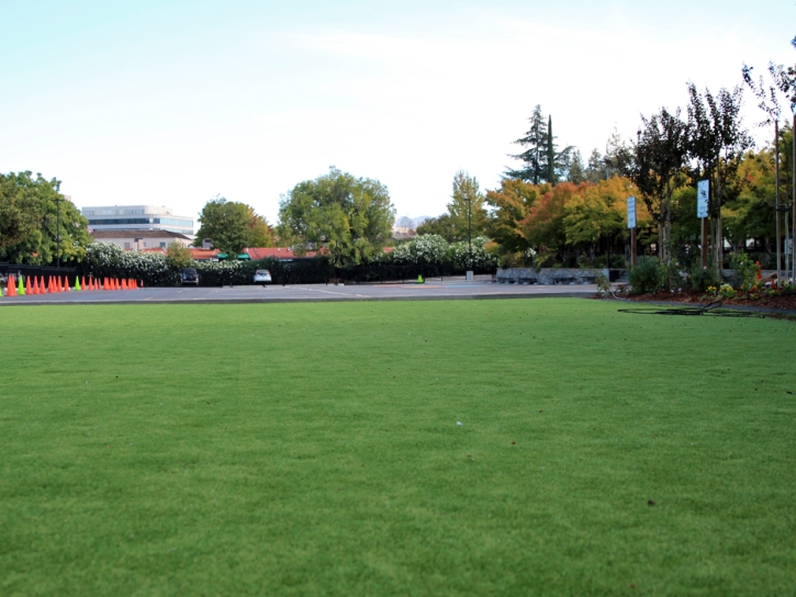 Artificial Lawn Fullerton, California Athletic Playground