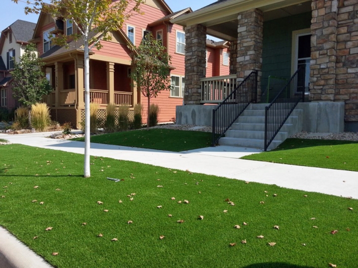 Artificial Lawn Gardena, California Lawns, Small Front Yard Landscaping