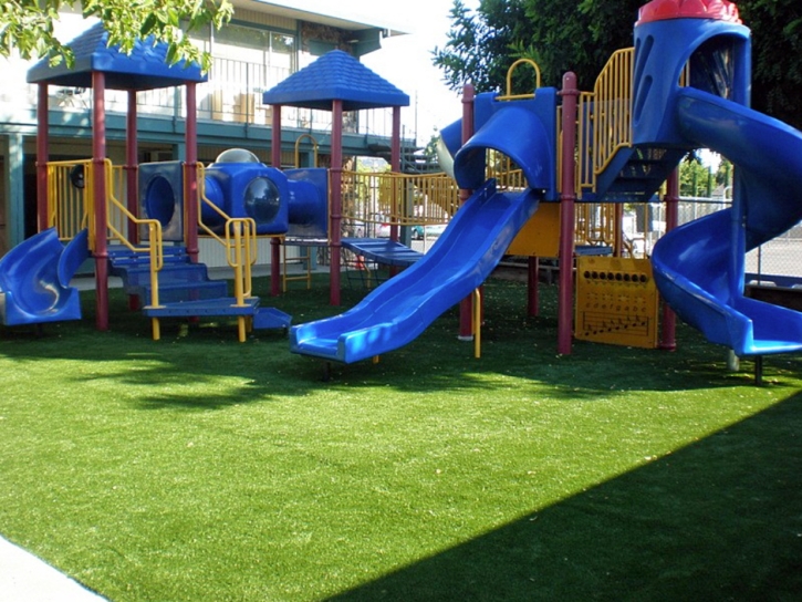 Artificial Lawn Lucerne Valley, California Backyard Playground, Commercial Landscape