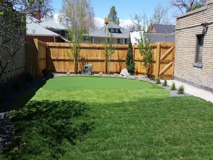 Artificial Lawn Temple City, California Gardeners, Backyard Design