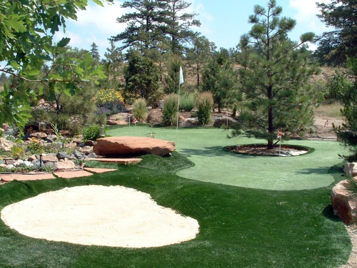 Artificial Turf Cost Golden Hills, California Garden Ideas, Backyard Landscaping Ideas