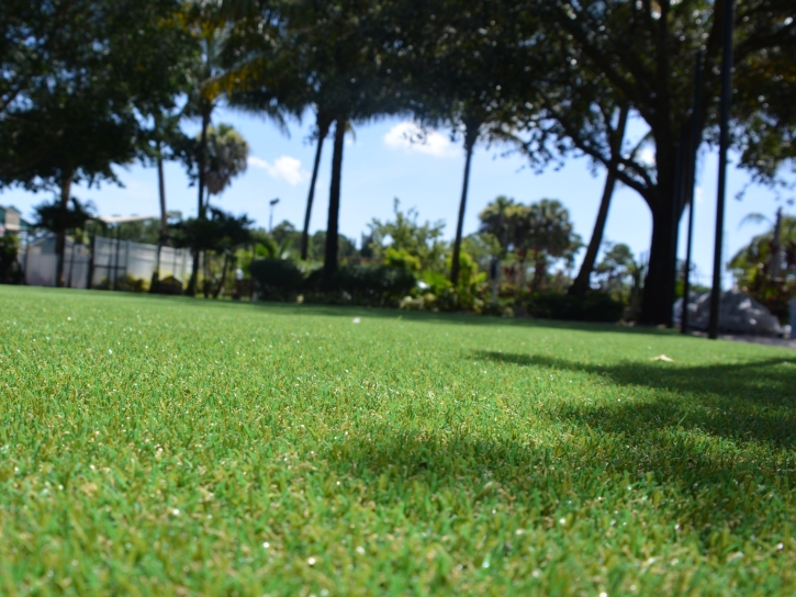 Artificial Turf Cost Industry, California Roof Top, Parks