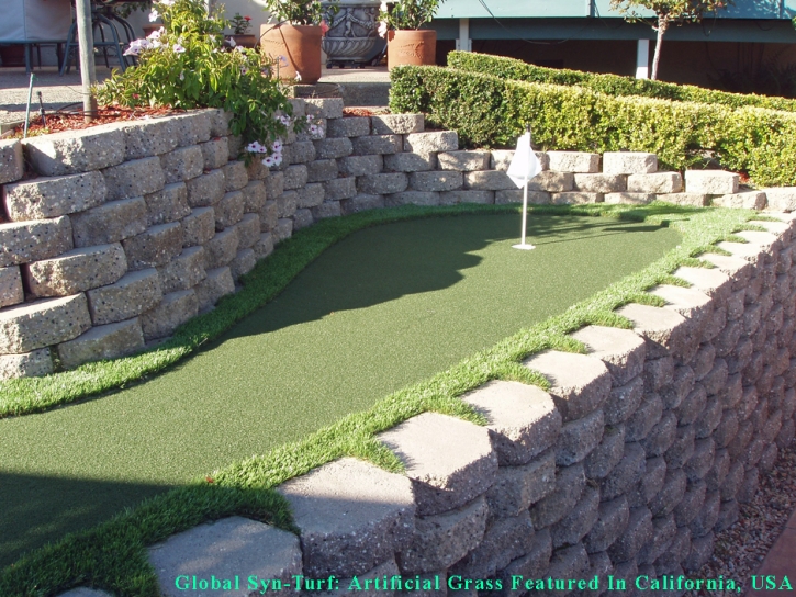 Artificial Turf Cost Lakewood, California Putting Green Carpet, Backyard Landscaping Ideas