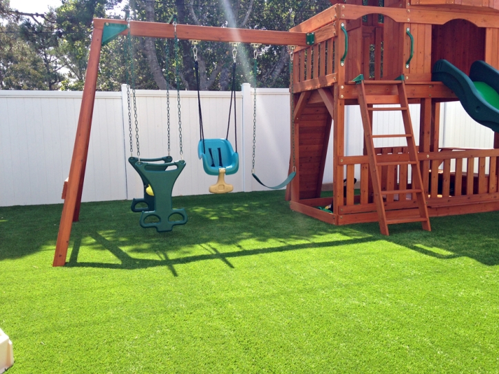 Artificial Turf Cost Toro Canyon, California Roof Top, Backyard Garden Ideas