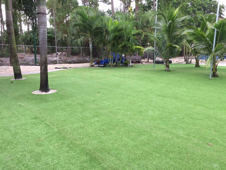 Artificial Turf Cost West Hollywood, California Landscape Rock, Commercial Landscape