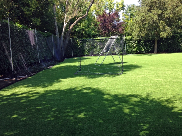 Artificial Turf Installation Valley Center, California Sports Athority, Backyard Design