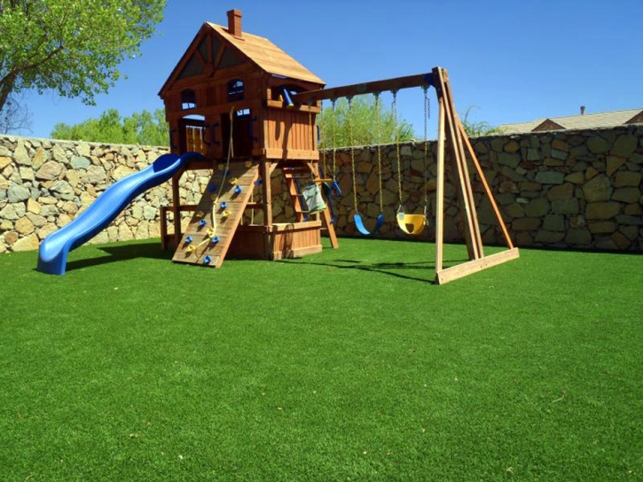 Artificial Turf Lebec, California Roof Top, Backyard Landscape Ideas