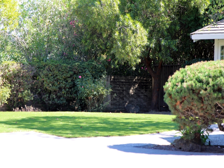 Artificial Turf Montebello, California Pet Turf, Front Yard