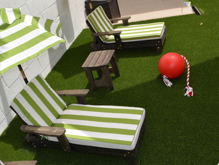 Artificial Turf North Glendale, California Lawn And Garden, Backyard Ideas