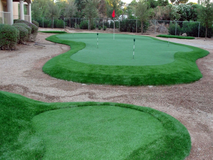 Artificial Turf Palos Verdes Estates, California Artificial Putting Greens, Backyard Ideas