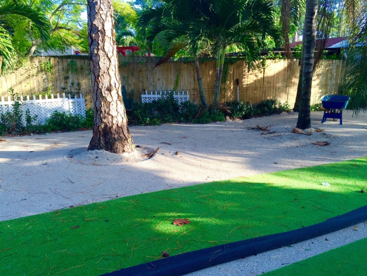 Artificial Turf South San Jose Hills, California Landscape Photos, Parks