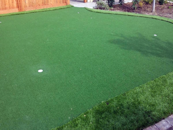 Artificial Turf Trabuco Canyon, California Landscape Ideas