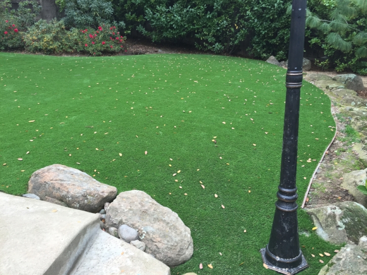 Best Artificial Grass Anaheim, California City Landscape, Backyard Landscaping