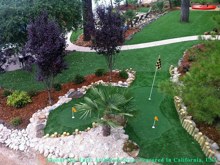 Fake Grass Carpet Long Beach, California Landscape Photos, Beautiful Backyards