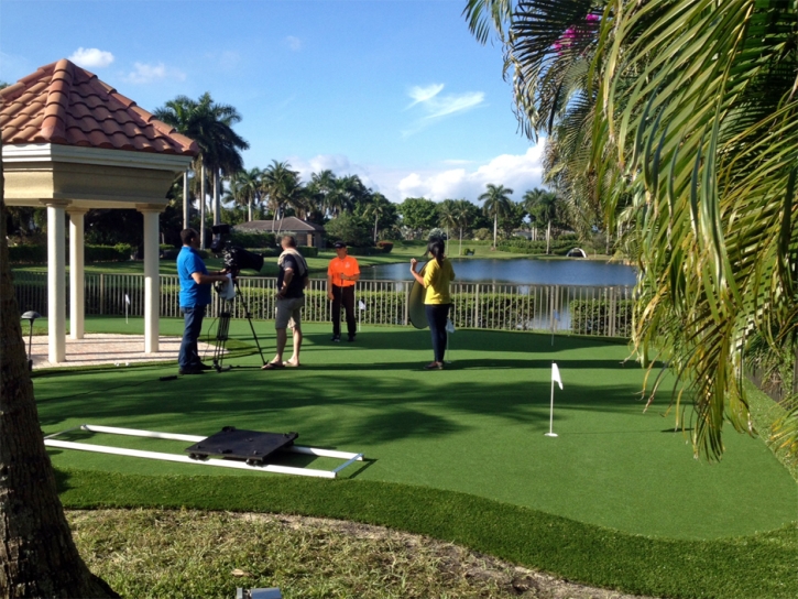 Fake Grass Carpet Midway City, California Home Putting Green, Backyard Design