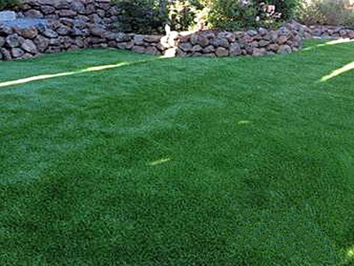 Fake Grass Carpet Mojave, California Dog Parks, Backyard Garden Ideas