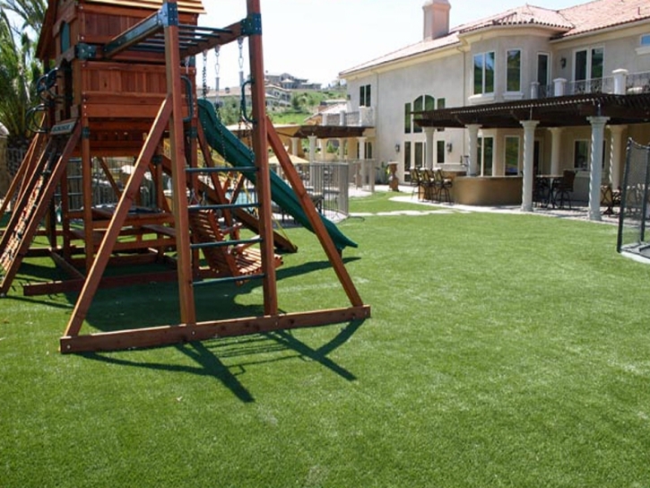 Fake Grass Carpet Pasadena, California Design Ideas, Backyard Design