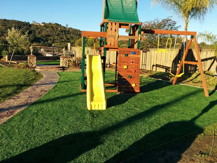 Fake Grass Carpet Stanton, California Gardeners, Backyards