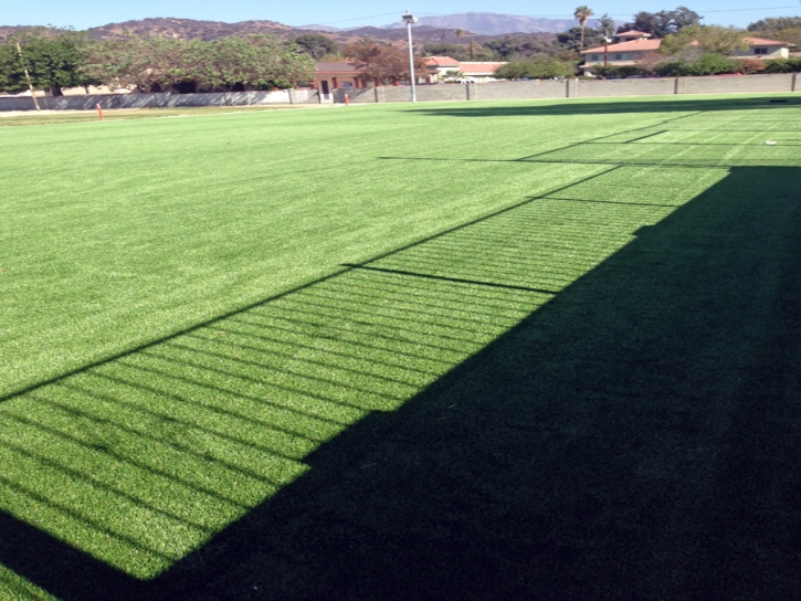 Fake Grass Carpet Sun City, California Backyard Playground