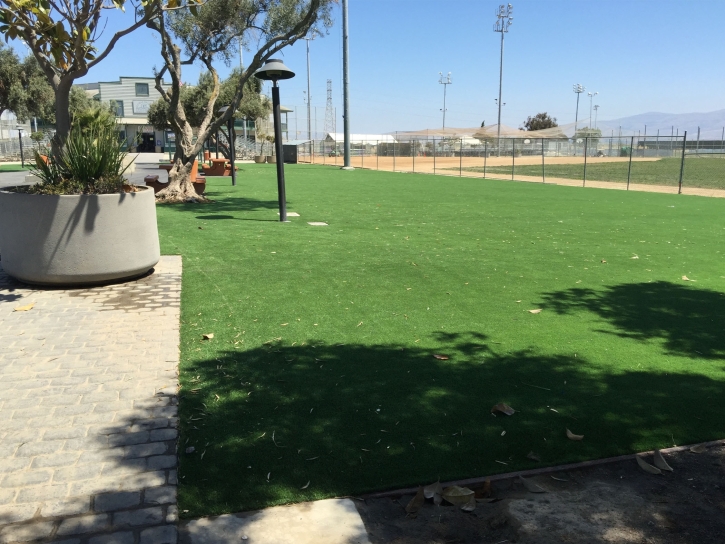 Fake Grass Carpet Universal City, California City Landscape, Parks