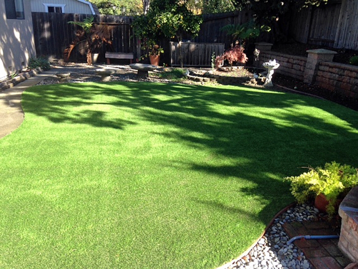 Fake Lawn Buena Park, California Pet Paradise, Backyard Landscaping