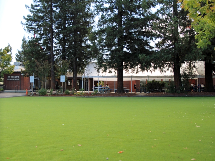 Fake Turf Lancaster, California Landscape Photos, Recreational Areas