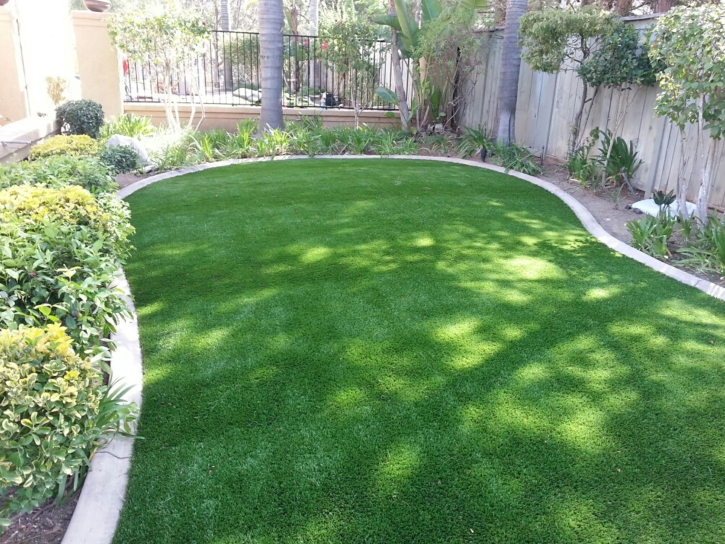 Faux Grass Avocado Heights, California Lawns