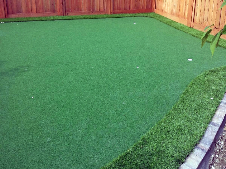 Faux Grass Oceanside, California Diy Putting Green, Backyard Garden Ideas