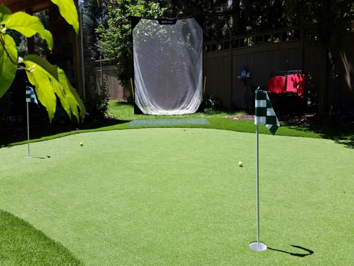 Grass Carpet Avalon, California Indoor Putting Green, Backyard Makeover