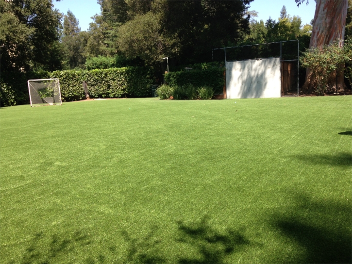 Grass Carpet East Pasadena, California Sports Athority, Backyard Makeover