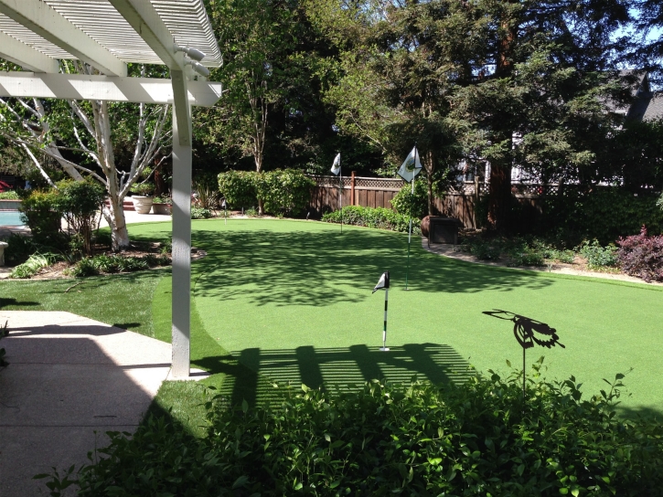 Grass Carpet San Joaquin Hills, California Home And Garden