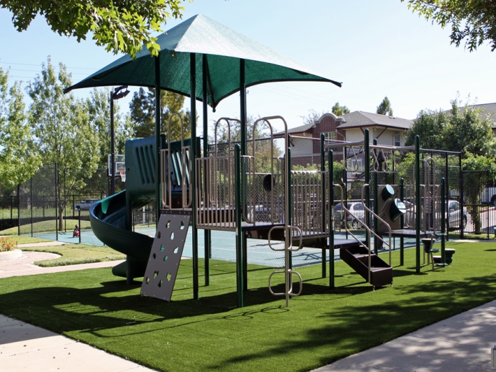 Grass Turf Avalon, California Lacrosse Playground, Recreational Areas