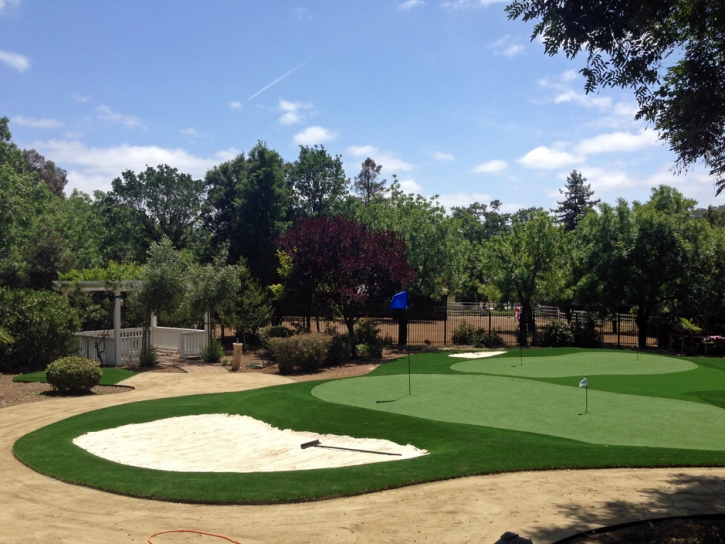 Grass Turf Covina, California Putting Green Grass, Front Yard Design