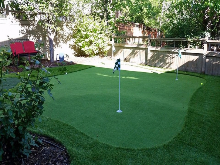 Grass Turf Los Alamitos, California Lawn And Garden, Backyard Landscape Ideas