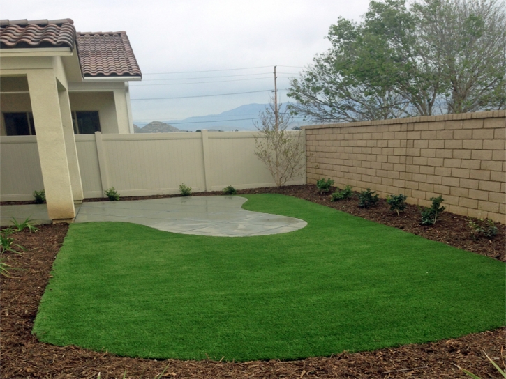 Grass Turf Walnut Park, California Design Ideas, Backyard Ideas